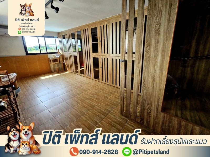 บริการฝากเลี้ยงน้องหมา-น้องแมว