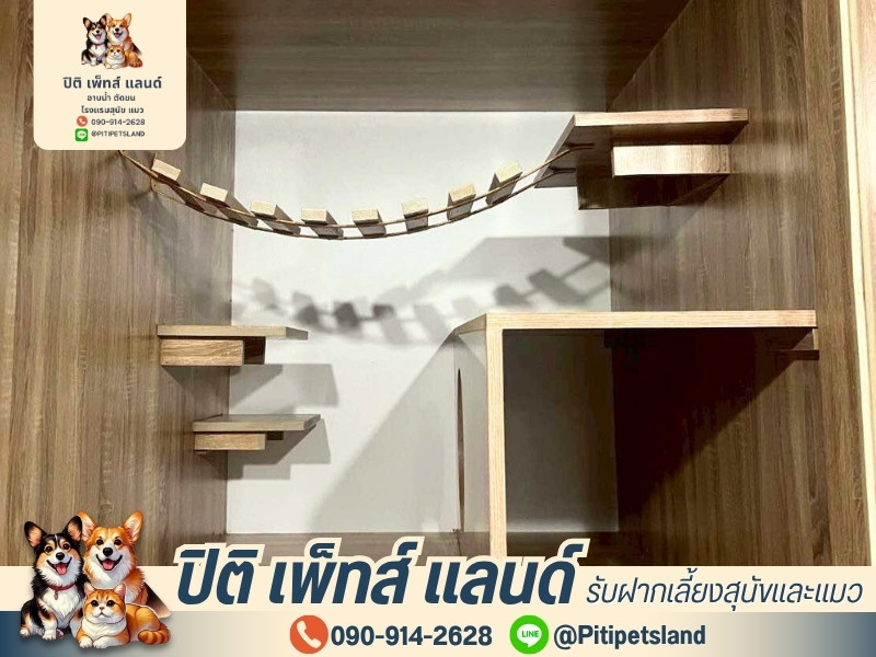 รับฝากสุนัขและแมว